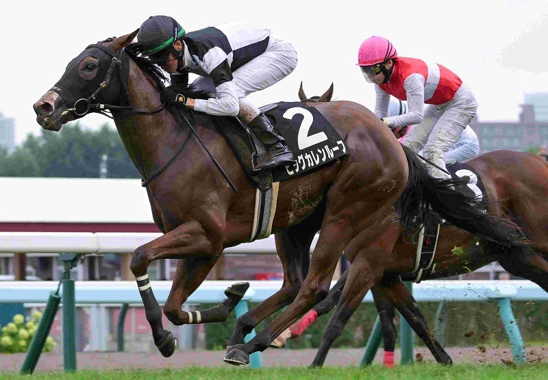 Ｒ7・すずらん賞レースパネル　ビッグカレンルーフ