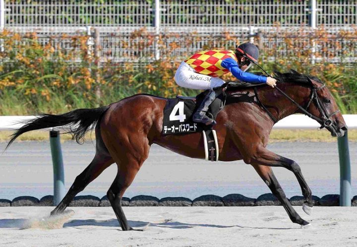 Ｒ7・名古屋城Sレースパネル　テーオーパスワード
