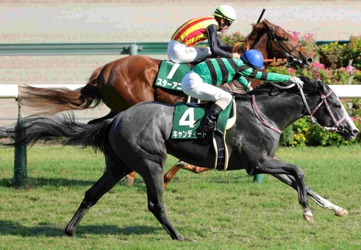 Ｒ7・中京2歳Sレースパネル　キャンディード