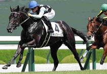 週刊ギャロップ　競馬パネル　サイレンススズカ含む　７枚セット 競馬,レース写真パネル | サンスポe-shop