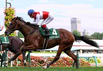 競馬,レース写真パネル | サンスポe-shop