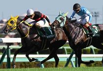 週刊ギャロップ　競馬パネル　サイレンススズカ含む　７枚セット 競馬,レース写真パネル | サンスポe-shop