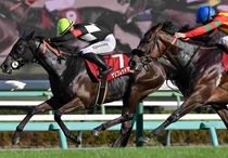競馬,レース写真パネル | サンスポe-shop