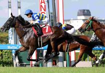 競馬,レース写真パネル | サンスポe-shop