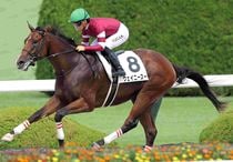 アグネスゴールド 週刊Gallop パネル アグネスゴールド 週刊Gallop パネル 競馬 | サンスポe-shop