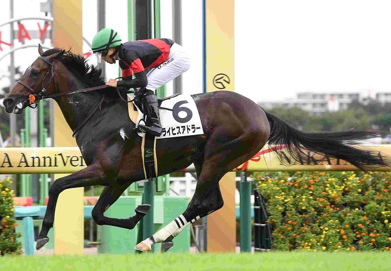 R7・メイクデビュー中山（9/14)5Rレースパネル ライヒスアドラー