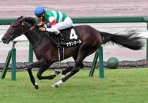 競馬,レース写真パネル | サンスポe-shop