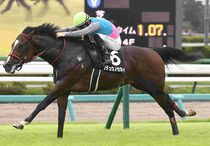 競馬優勝パネル（枠付き） 楽天市場】【受注生産】競走馬ゼッケン額 ナチュラル ブラウン