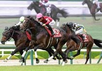 アグネスゴールド 週刊Gallop パネル アグネスゴールド 週刊Gallop パネル 競馬,レース写真パネル