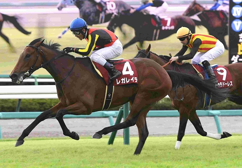 競馬パネル：ヒシアマゾン「1995年第41回産経賞オールカマー」 競馬パネル：ヒシアマゾン「1995年第41回産経賞オールカマー