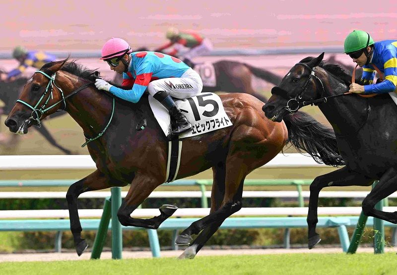 Ｒ7・メイクデビュー中山（9/28)5Rレースパネル　エピックフライト