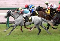 ファレノプシス　武豊　秋華賞　競走馬　写真　パネル　額縁入り　スポーツ新聞付き ファレノプシス 武豊 秋華賞 競走馬 写真 パネル 額縁入り