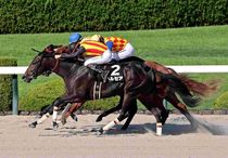 競馬,レース写真パネル | サンスポe-shop
