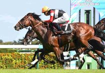 競馬,レース写真パネル | サンスポe-shop
