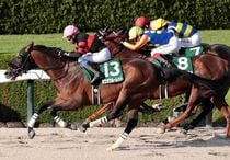 競馬,レース写真パネル | サンスポe-shop
