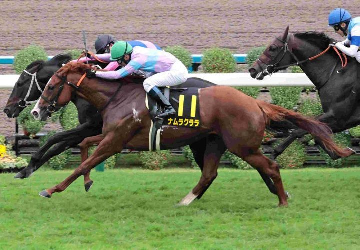 R7・オパールSレースパネル メイショウソラフネ | サンスポe-shop