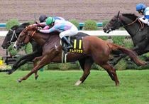 Ｒ7・オパールSレースパネル　メイショウソラフネ