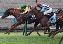 Ｒ7・りんどう賞レースパネル　ラスティングスノー