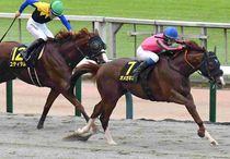 Ｒ7・グリーンチャンネルCレースパネル　オメガギネス