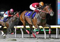 ファレノプシス　武豊　秋華賞　競走馬　写真　パネル　額縁入り　スポーツ新聞付き ファレノプシス 武豊 秋華賞 競走馬 写真 パネル 額縁入り