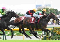 アグネスゴールド 週刊Gallop パネル 2025年最新】パネル gallopの人気アイテム - メルカリ