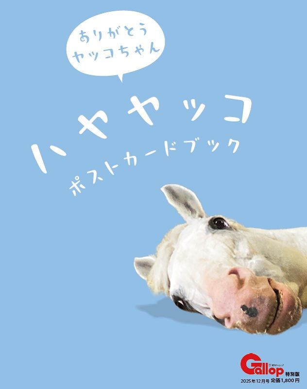 「ハヤヤッコ　ポストカードブック」
