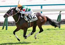 Ｒ7・メイクデビュー京都（10/13)6Rレースパネル　バルセシート