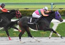 Ｒ7・プラタナス賞レースパネル　テイエムキハク