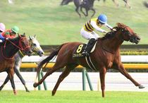 Ｒ7・オクトーバーSレースパネル　ニシノレヴナント