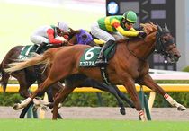 競馬,レース写真パネル | サンスポe-shop