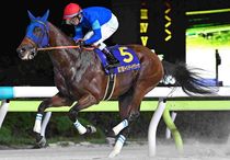 アグネスゴールド 週刊Gallop パネル アグネスゴールド 週刊Gallop パネル 競馬ブックネットSHOP