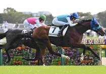 競馬,レース写真パネル | サンスポe-shop