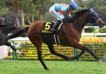 競馬,レース写真パネル | サンスポe-shop