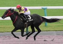 アグネスゴールド 週刊Gallop パネル アグネスゴールド 週刊Gallop パネル 競馬ブックネットSHOP