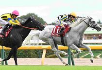 競馬,レース写真パネル | サンスポe-shop