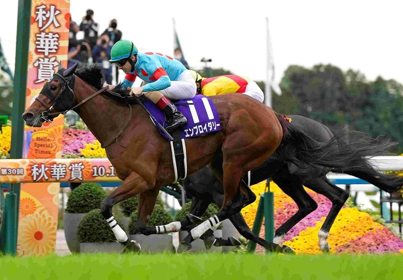 ファレノプシス　武豊　秋華賞　競走馬　写真　パネル　額縁入り　スポーツ新聞付き R7・秋華賞レースパネル エンブロイダリー | サンスポe-shop