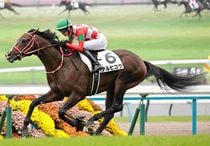 Ｒ7・メイクデビュー京都（10/26)5Rレースパネル　テルヒコウ