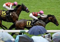 Ｒ7・ルミエールADレースパネル　イコサン