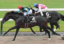 Ｒ7・カノープスSレースパネル　シゲルショウグン