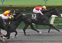 Ｒ7・神無月Sレースパネル　インユアパレス