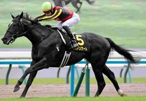 Ｒ7・萩Sレースパネル　バドリナート