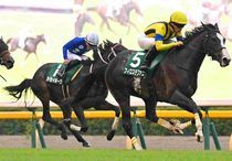 Ｒ7・アルテミスSレースパネル　フィロステファニ