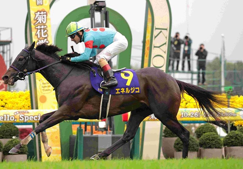 Ｒ7・菊花賞レースパネル　エネルジコ