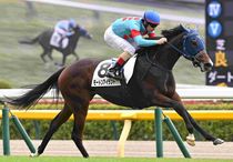 Ｒ7・メイクデビュー東京（11/2)4Rレースパネル　モートンアイランド