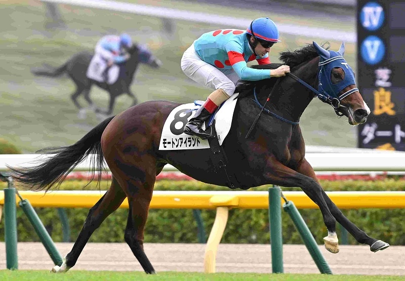 Ｒ7・メイクデビュー東京（11/2)4Rレースパネル　モートンアイランド