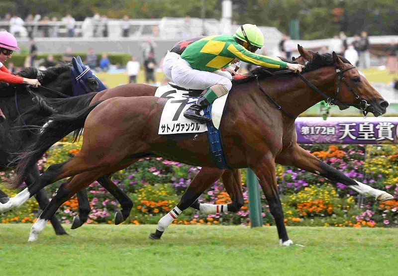 Ｒ7・メイクデビュー東京（11/1)5Rレースパネル　サトノヴァンクル