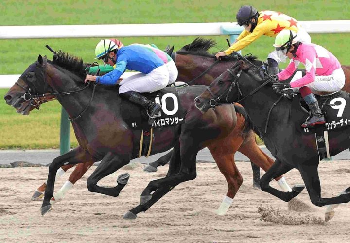 Ｒ7・もちの木賞レースパネル　パイロマンサー