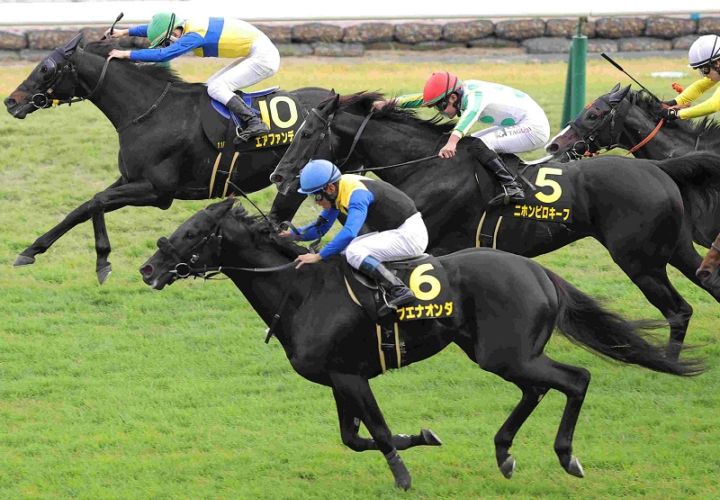 Ｒ7・まほろばSレースパネル　エアファンディタ