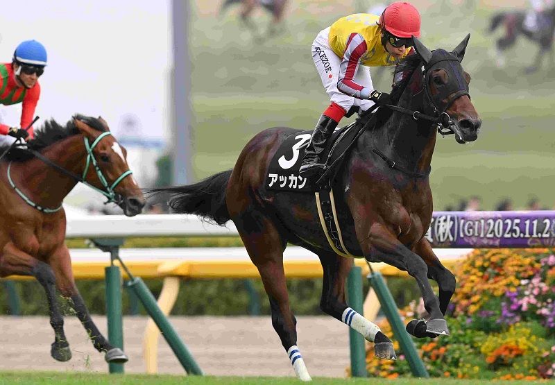 Ｒ7・百日草特別レースパネル　アッカン