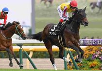 Ｒ7・百日草特別レースパネル　アッカン